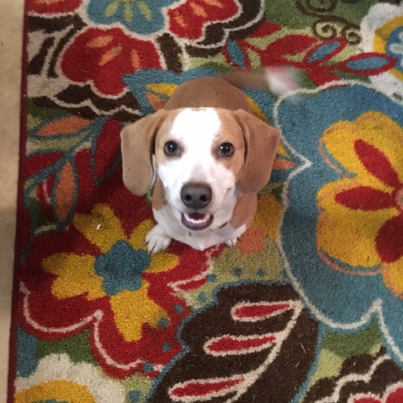 Meet your Posher, Randall - Picture 1 of 1